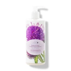 Burdock And Neem Healthy Scalp Conditioner-100% PURE Fashion